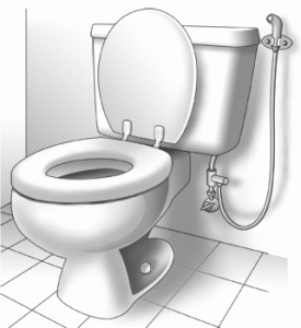 Mini Hand Shower Bidet White Shattaf
