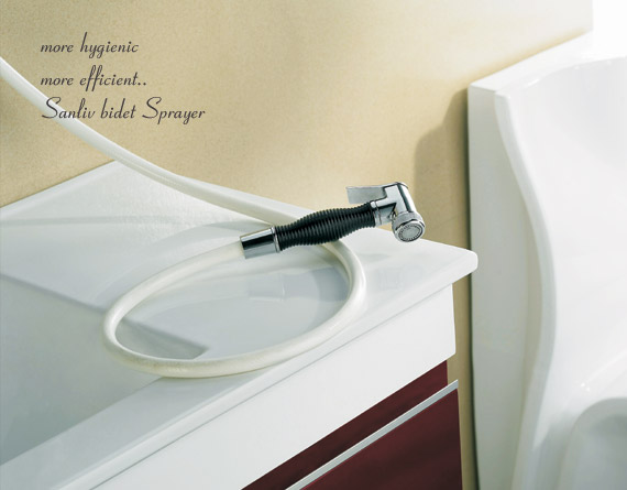 Handheld Bidet Sprayer is More Hygienic Than Toilet Paper