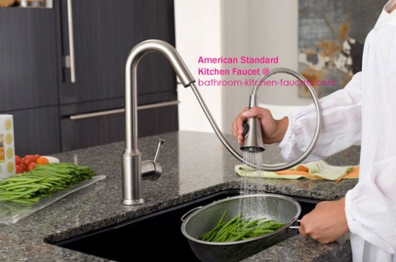 Pekoe Pull-Down Kitchen Faucet From American Standard | Bathroom ...