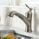 New Danze Kitchen Faucet photo