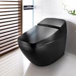 ROCA LUMEN AVANT Toilet with Bidet function