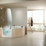 Corner Whirlpool Shower Combo by Teuco