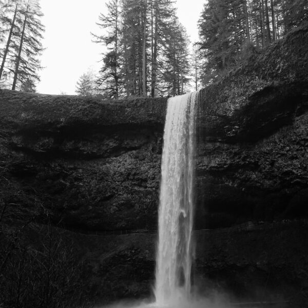 Page d'accueil Homepage